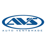 Auto Ventshade